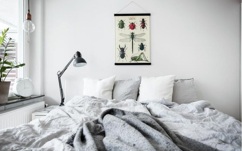 Scandinavian HOME