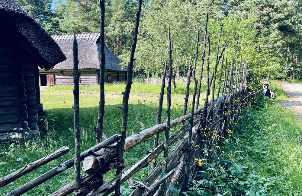 Eesti Vabaõhumuuseum: Aken minevikku ja süda tulevikus