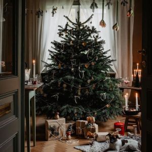 Scandinavian HOME
