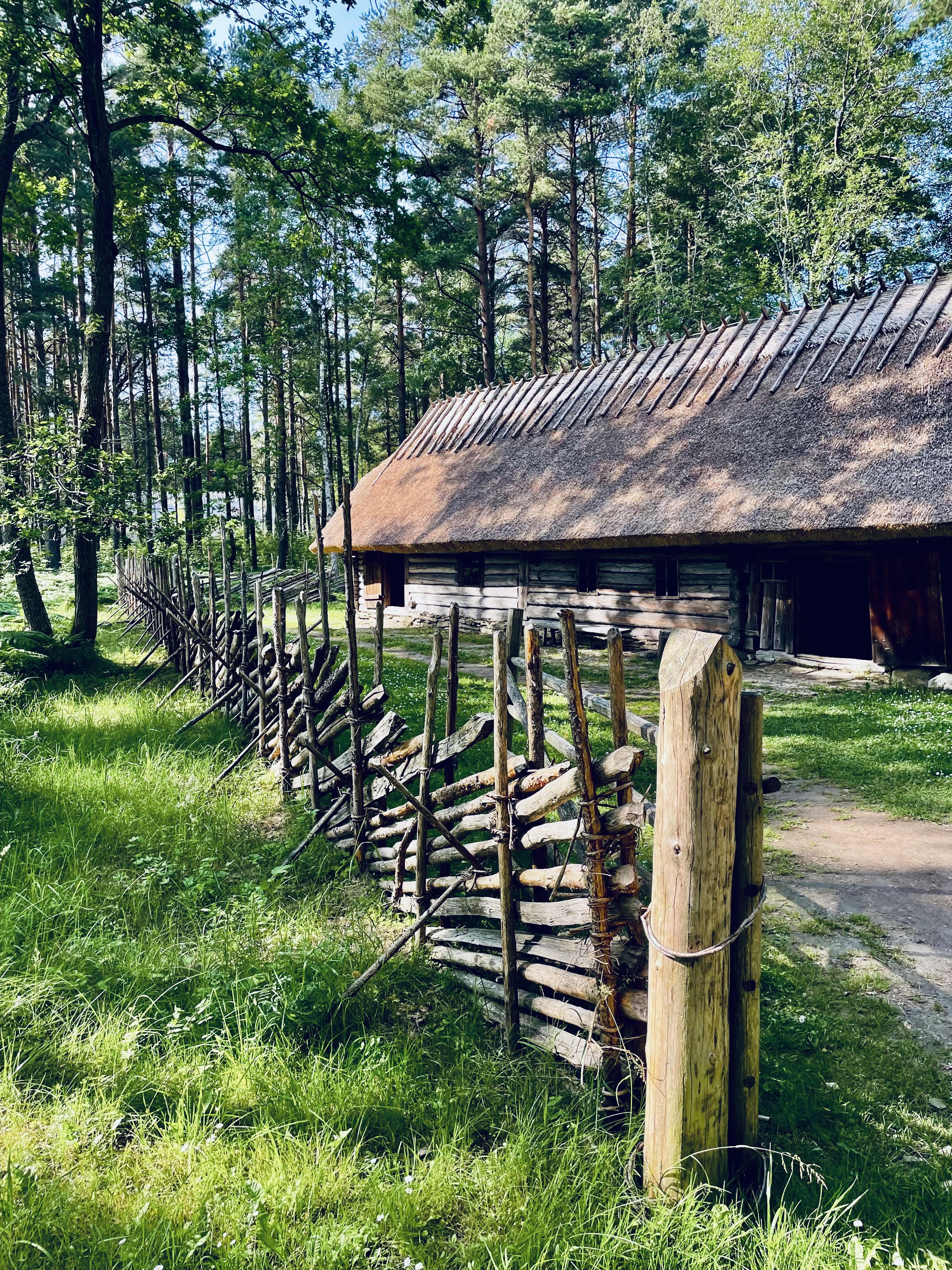 Eesti Vabaõhumuuseum: Aken minevikku ja süda tulevikus