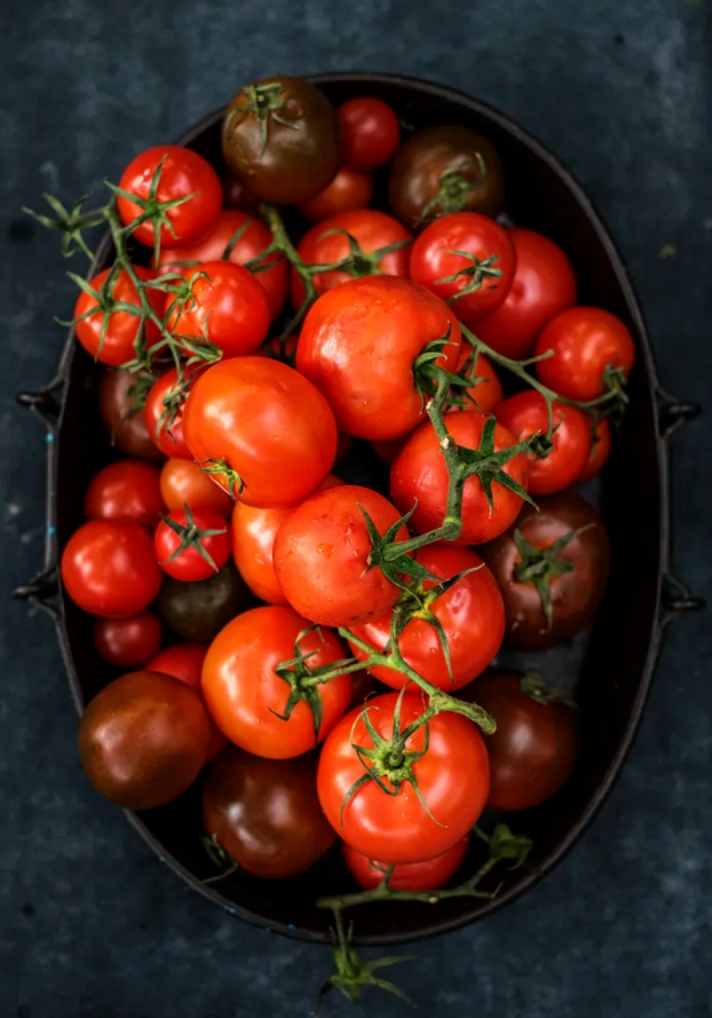 Retsept | Grillitud tomatid