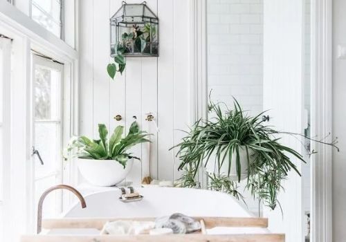 Scandinavian HOME