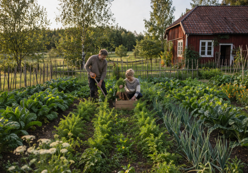 Scandinavian HOME
